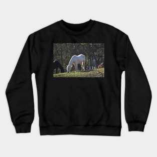 Wild Horse Crewneck Sweatshirt